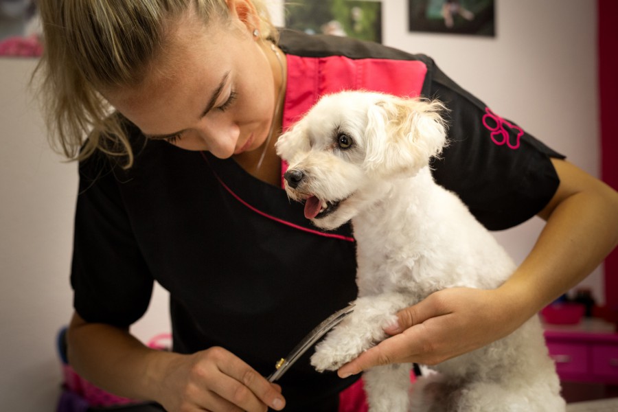 whrend der Arbeit